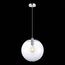 ST LUCE SL1056.133.01 Подвес ST-Luce Хром/Прозрачный E27 1*60W, изображение 4