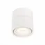 ST LUCE ST652.532.12 Светильник потолочный Белый LED 1*12W 3000K 1 000Lm Ra>90 36° IP20 D100xH105 170-240V, изображение 2