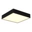 ST LUCE ST608.442.27 Светильник потолочный Черный LED 1*27W 4000K 2 160Lm Ra>90 120° IP20 L220xW220xH55 180-