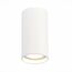 ST LUCE ST157.542.15 Светильник потолочный Белый LED 1*15W 4000K 1 200Lm Ra>90 60° IP44 D75xH140 220-265V