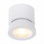 ST LUCE ST654.542.10 Светильник потолочный Белый LED 1*10W 4000K 850Lm Ra>90 38° IP20 D95xH96 180-240V, изображение 4