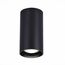 ST LUCE ST157.432.15 Светильник потолочный Черный LED 1*15W 3000K 1 200Lm Ra>90 60° IP44 D75xH140 220-265V