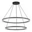 ST LUCE SL1018.403.02 Светильник подвесной ST-Luce черный/прозрачный LED 2*96W 4000K, изображение 2