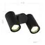 ST LUCE SL9011.402.02 Светильник уличный потолочный ST-Luce черный/белый GU10 2*50W, изображение 6
