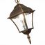 ST LUCE SL082.203.01 Светильник уличный подвесной ST-Luce Бронза/Бронза, Прозрачный E27 1*60W DOMENICO, изображение 5