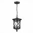 ST LUCE SL085.403.01 Светильник уличный подвесной ST-Luce Черный/Черный, Прозрачный E27 1*60W LORNE, изображение 3