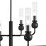 ST LUCE SL1244.403.08 Светильник подвесной ST-Luce черный/прозрачный E14 8*40W, изображение 4