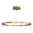 ST LUCE SL6238.343.01 Светильник подвесной ST-Luce латунь/латунь LED 1*43W 4000K, изображение 2