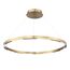 ST LUCE SL6238.343.01 Светильник подвесной ST-Luce латунь/латунь LED 1*43W 4000K, изображение 3