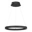 ST LUCE SL6238.423.01 Светильник подвесной ST-Luce черный/черный LED 1*25W 4000K, изображение 2