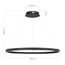 ST LUCE SL6238.443.01 Светильник подвесной ST-Luce черный/черный LED 1*43W 4000K, изображение 6