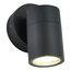 ST LUCE SL9008.701.01 Светильник уличный настенный ST-Luce серый/белый GU10 1*50W, изображение 3