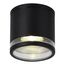 ST LUCE SL9009.402.01 Светильник уличный потолочный ST-Luce черный/белый GU10 1*50W
