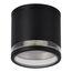 ST LUCE SL9009.402.01 Светильник уличный потолочный ST-Luce черный/белый GU10 1*50W, изображение 2