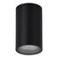ST LUCE SL9010.412.01 Светильник уличный потолочный ST-Luce черный/белый GU10 1*50W, изображение 2