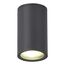 ST LUCE SL9010.712.01 Светильник уличный потолочный ST-Luce серый/белый GU10 1*50W