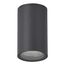 ST LUCE SL9010.712.01 Светильник уличный потолочный ST-Luce серый/белый GU10 1*50W, изображение 2