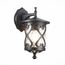 ST LUCE SL085.411.01 Светильник уличный настенный ST-Luce Черный/Черный, Прозрачный E27 1*60W LORNE