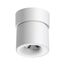 NOVOTECH 358808 OVER NT21 218 белый Светильник накладной светодиодный IP20 LED 10W 850Лм 4000K 220V GESSO, изображение 9