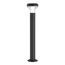 ST LUCE SL9541.705.01 Светильник напольный ST-Luce темно-серый/прозрачный LED 1*6W 3000K