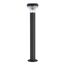 ST LUCE SL9541.705.01 Светильник напольный ST-Luce темно-серый/прозрачный LED 1*6W 3000K, изображение 2