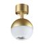 NOVOTECH 370813 OVER NT22 242 матовое золото Светильник накладной IP20 GU10 9W 220V GARN, изображение 6