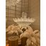 Fluorite FL1055-26P Люстра подвесная Florens Chrome, изображение 4