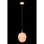 Fluorite FL1022-1P Подвесной светильник Flamma
