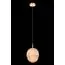 Fluorite FL1022-1P Подвесной светильник Flamma, изображение 2