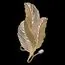 Fluorite FL1182-2W Бра Felicity Gold