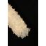 Fluorite FL1158-1PS Подвесной светильник Primo, изображение 3