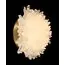 Fluorite FL1157-1WB Бра Sorpresa