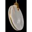 Fluorite FL1146-1P Подвесной светильник Sunrise, изображение 3