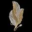 Fluorite FL1182-2W Бра Felicity Gold, изображение 3
