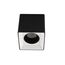 Denkirs DK3080-BW+BK Светильник накладной IP 20, 10 Вт, GU5.3, LED, черно-белый/черный, пластик