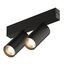 Denkirs DK8012-BK Акцентный светильник SMART SPOT DOUBLE 2x9W DIM 3000K-6000K, черный, изображение 2