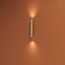 Denkirs DK5022-SG Настенный светильник, IP20, до 15 Вт, LED, 2xGU10, матовое золото, алюминий, изображение 6