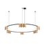 Denkirs DK4067-BK+SG Подвесной светильник ORBIT, IP20, 15xGU10 LED, до 15 Вт, черный + сатинированное золото, алюминий, изображение 3