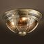 Delight Collection 771083 Потолочный светильник Residential 3 ant. ant. brass, изображение 2