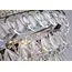 Delight Collection KG0758P-5 Люстра Clarissa 5, изображение 4