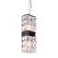 Delight Collection BRCH102D chrome Подвесной светильник, изображение 2