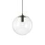 Delight Collection 8722P/XL black/clear Подвесной светильник Ball 40 black/clear black/clear