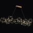 Delight Collection MD18001068-14A matt gold Люстра Lucciola 14A matt gold gold, изображение 2