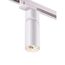 NOVOTECH 370594 PORT NT19 131 матовый белый Светильник трековый однофазный трехжильный IP20 GU10 50W 220-240V ELITE, изображение 4
