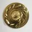 Delight Collection 8109W/800 brass Настенный светильник Anodine 80 brass brass, изображение 4