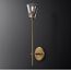 Delight Collection 8614W/D gold Настенный светильник Torche De Verre Verre 1 light gold, изображение 3