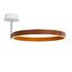 Delight Collection MX18001059-1M coffee/black Потолочный светильник