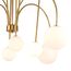 Delight Collection KG1213P-8 brass Люстра, изображение 3