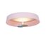 Delight Collection MX19001031-1A pink Потолочный светильник