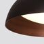 Delight Collection C019-400B black/copper Потолочный светильник, изображение 2